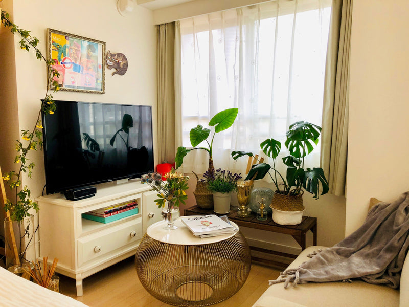 ボタニカル×アートで彩ったワンルームコーディネート– ラグと
