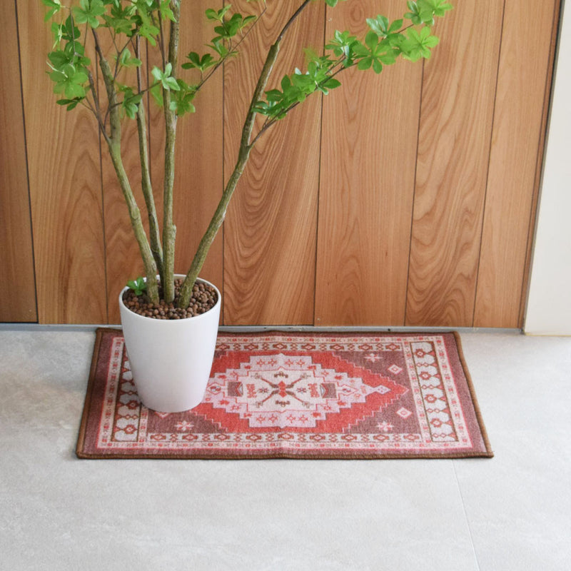 mini_0012_DSC_0526_800x.jpg?v=