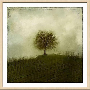 モダンでトレンドのインテリアに馴染むアートポスター 『Top of the Hill』 - TOCO LIFE