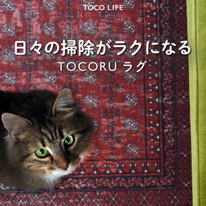 猫ちゃんとの快適ライフを、TOCORUで叶う理想のお部屋