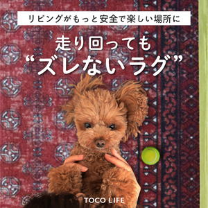 愛犬が安全に過ごせる、TOCORUラグ〜リビング編〜