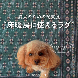 愛犬のための冬支度、床暖房・ホットカーペットに使えるTOCORUラグ