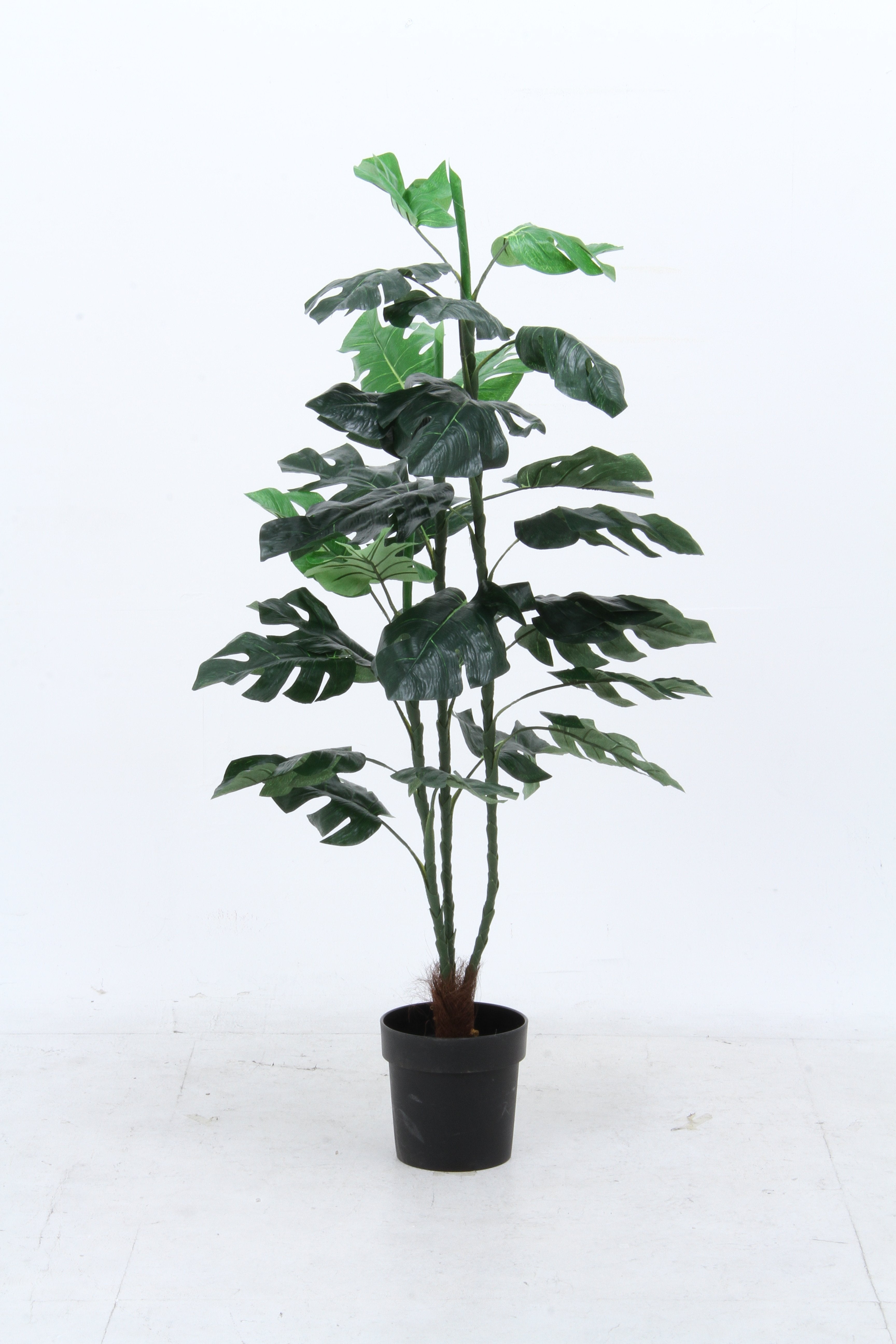 専用出品　2点まとめ売りラグマット観葉植物インテリア Amazon｜モケット カーペット ペルシャ柄 ラグマット 絨毯