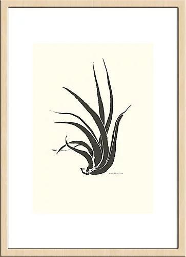 どんな空間にも馴染みやすいシンプルなラインで構成されたアートポスター『epiphytic plant』