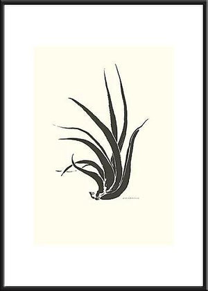 どんな空間にも馴染みやすいシンプルなラインで構成されたアートポスター『epiphytic plant』 - TOCO LIFE