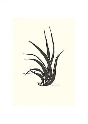 どんな空間にも馴染みやすいシンプルなラインで構成されたアートポスター『epiphytic plant』 - TOCO LIFE