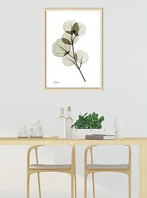 繊細な美しさを浮き彫りにするレントゲンアートポスター『Eucalyptus』 - TOCO LIFE