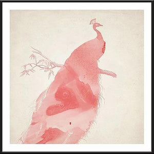 モダンでトレンドのインテリアに馴染むアートポスター 『Pink Peacock』 - TOCO LIFE